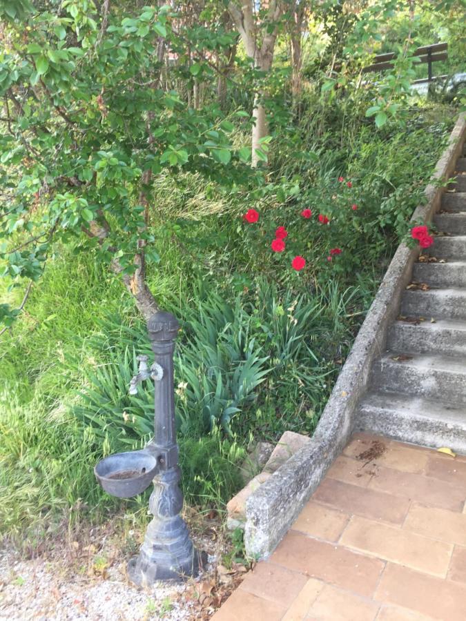 Green B&B Urbino Ca Del Vento Екстер'єр фото